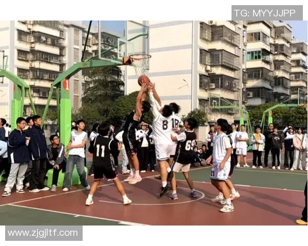 业余篮球与职业篮球的差异与融合探讨如何提升球技与团队合作能力